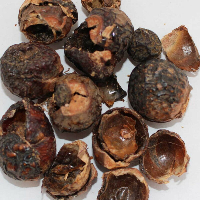 ソープナッツホール100g原産国：インド英名：Soapnuts, Whole学名：Sapindus saponaria科目：ムクロジ科部位：種子殻別名：ムクロジ/ソープベリー乾燥したソープナッツ。サポニンを含み、「天然の石けん」として使われてきました。※割れた殻と、割れていない実が詰まった 状態のソープナッツが混在しています。　泡立ちは殻部分で、実は泡立ちませんのでご注意ください。保存方法直射日光・高温多湿を避け、冷暗所にて密閉保存下さい。開封後はどうぞお早めにご使用下さい。