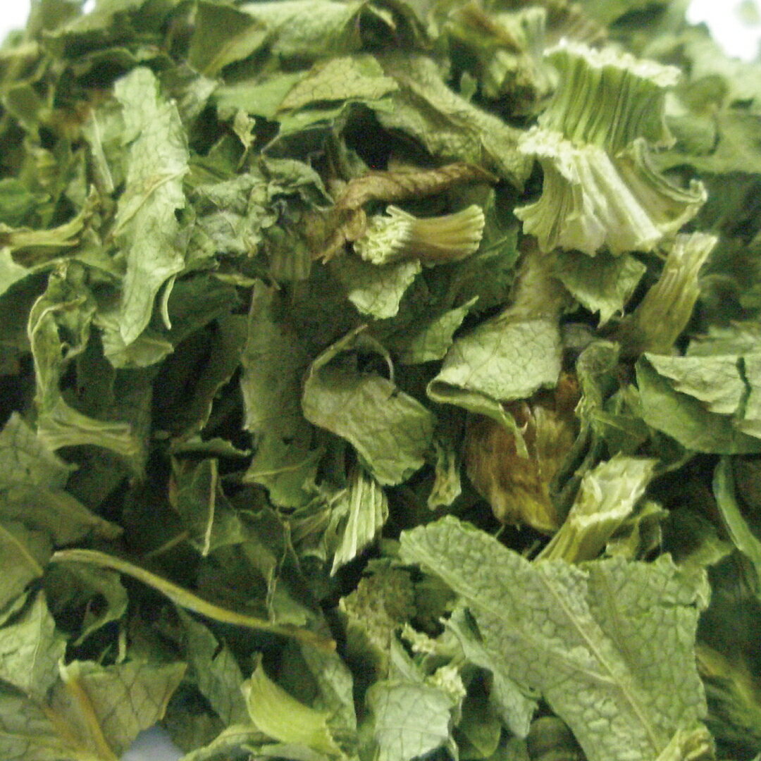 アシタバ/明日葉 カット大 20g|100g|500g [ドライハーブ]【公式】ハーブ専門店 カリス成城|ハーブティー 乾燥 国産 日本産 八丈草 ハチジョウソウ