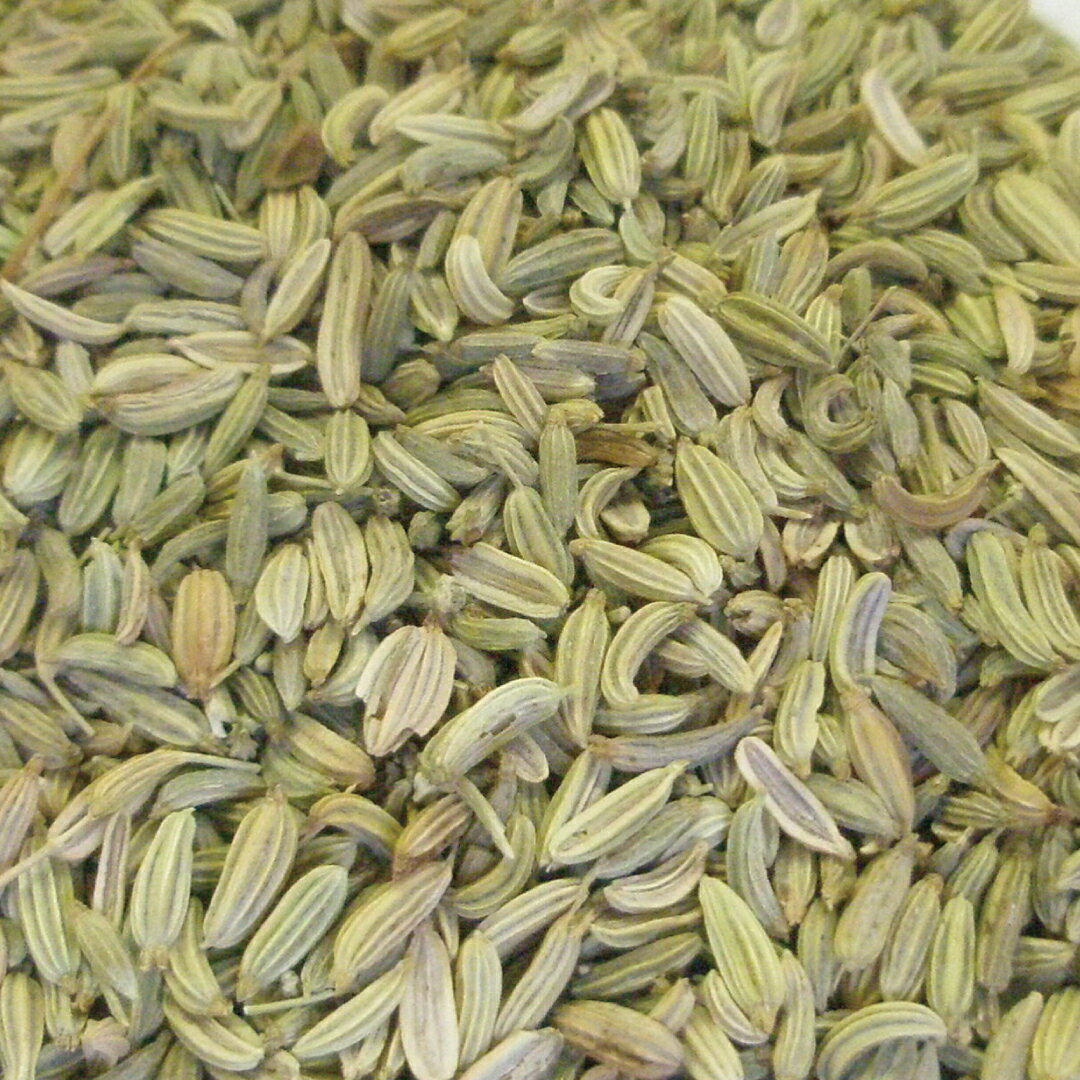 フェンネル ホール 20g|100g|500g [ドライハーブ]【公式】ハーブ専門店 カリス成城|スパイス