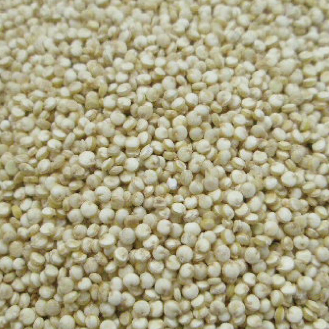 キヌア シード ホール オーガニック 20g|100g|500g [ドライハーブ]【公式】ハーブ専門店 カリス成城|有機 ハーブティー キノア