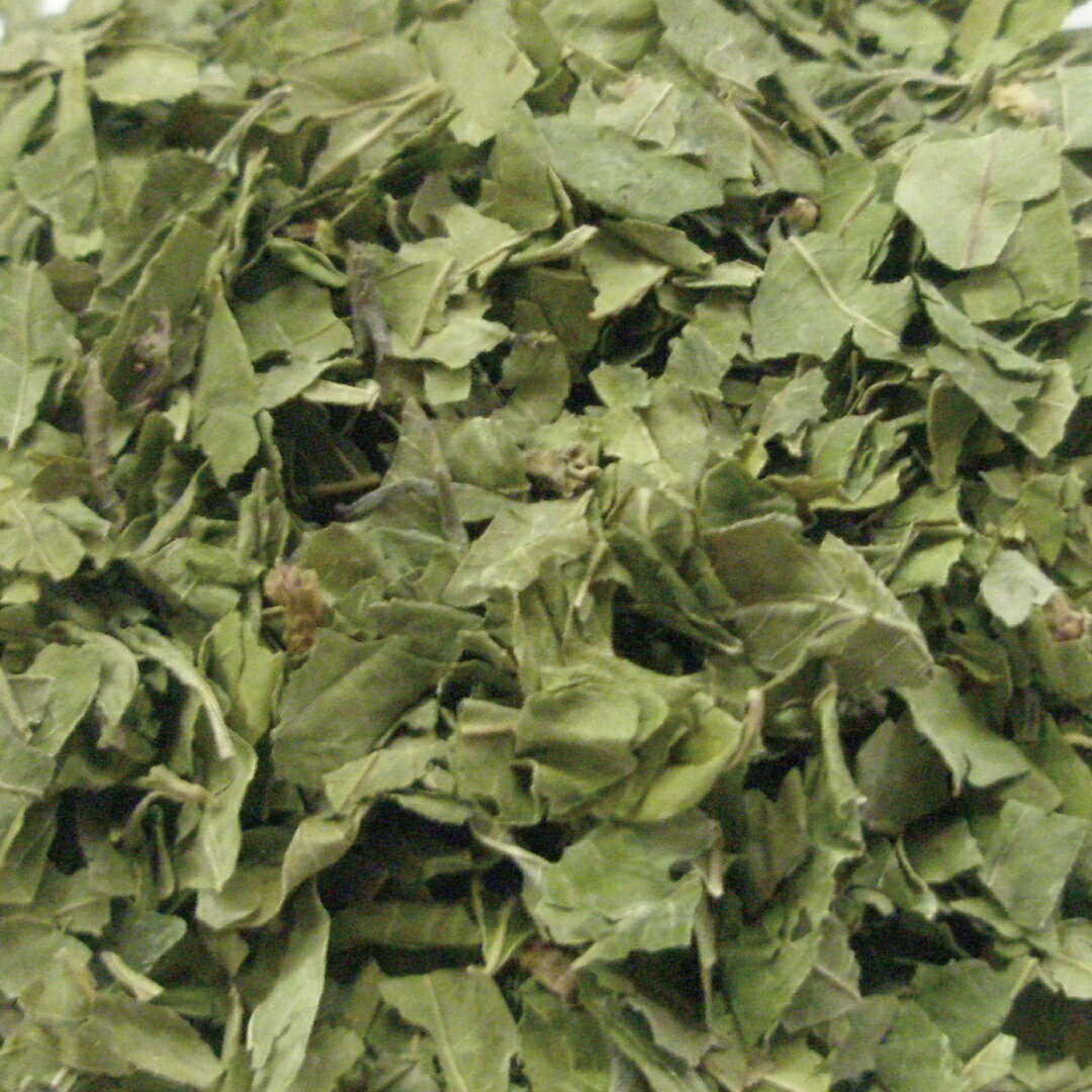 ラフマ/羅布麻 カット 20g|100g|500g [ドライハーブ]【公式】ハーブ専門店 カリス成城|ハーブティー