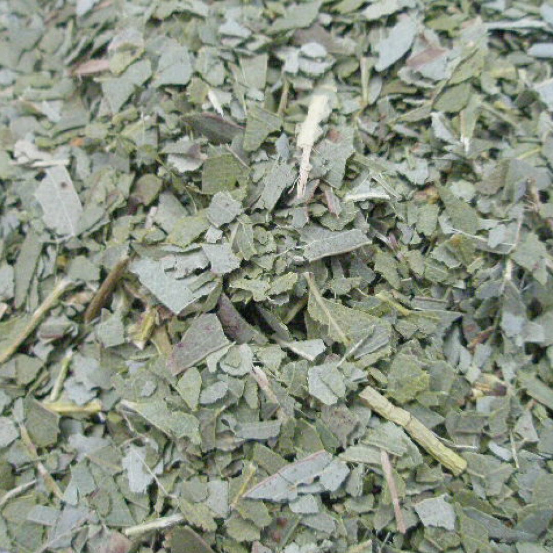 ユーカリ リーフ カット オーガニック 20g|100g|500g [ドライハーブ]【公式】ハーブ専門店 カリス成城|..