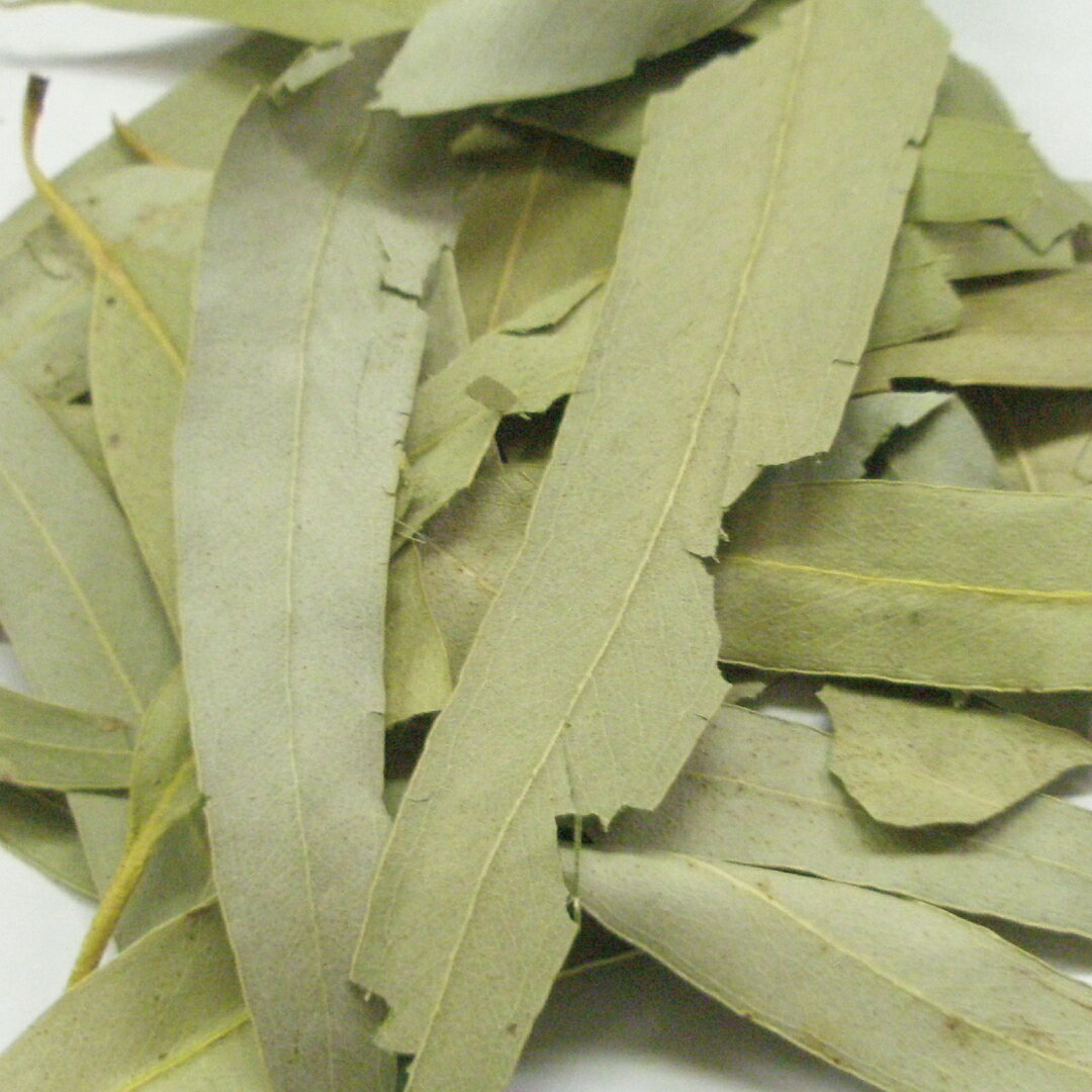 樂天商城 - ユーカリ ホール 20g|100g|500g [ドライハーブ]【公式】ハーブ専門店 カリス成城|ハーブティー