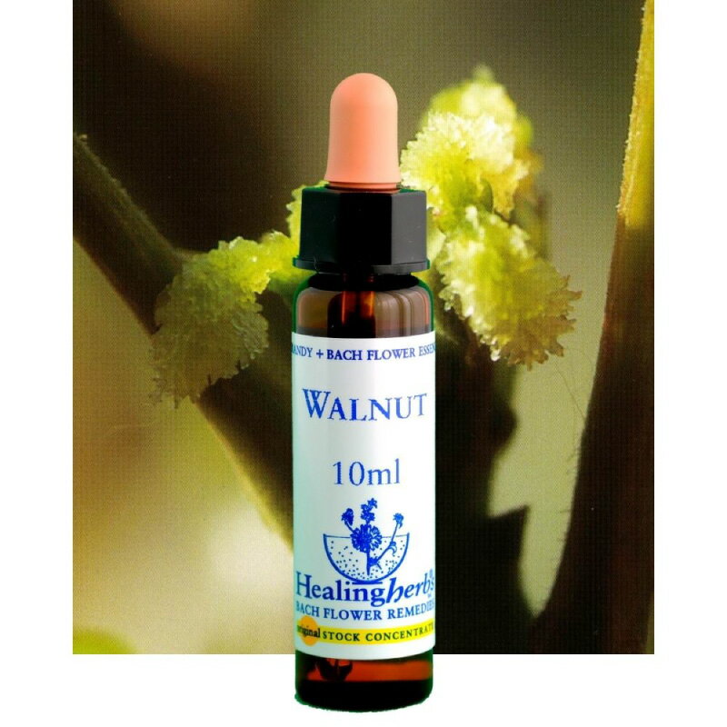 ヒーリングハーブス フラワーエッセンス 24 ウォールナット【カリス成城】