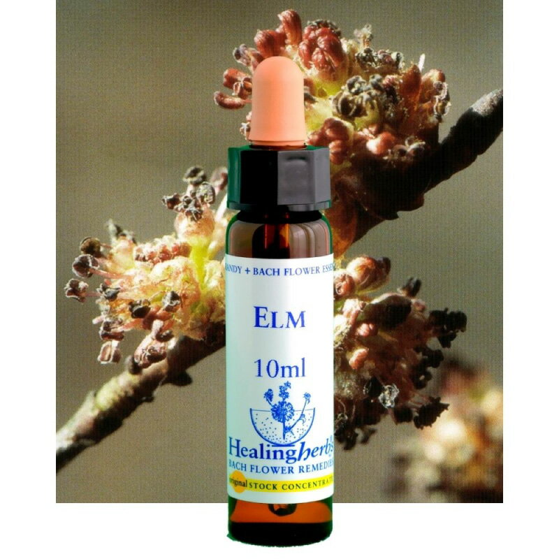 ヒーリングハーブス フラワーエッセンス 28 エルム【カリス成城】