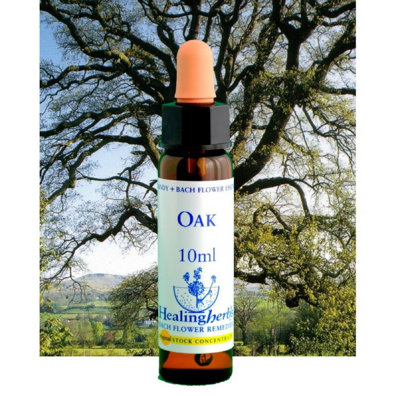 樂天商城 - ヒーリングハーブス フラワーエッセンス 32 オーク【カリス成城】