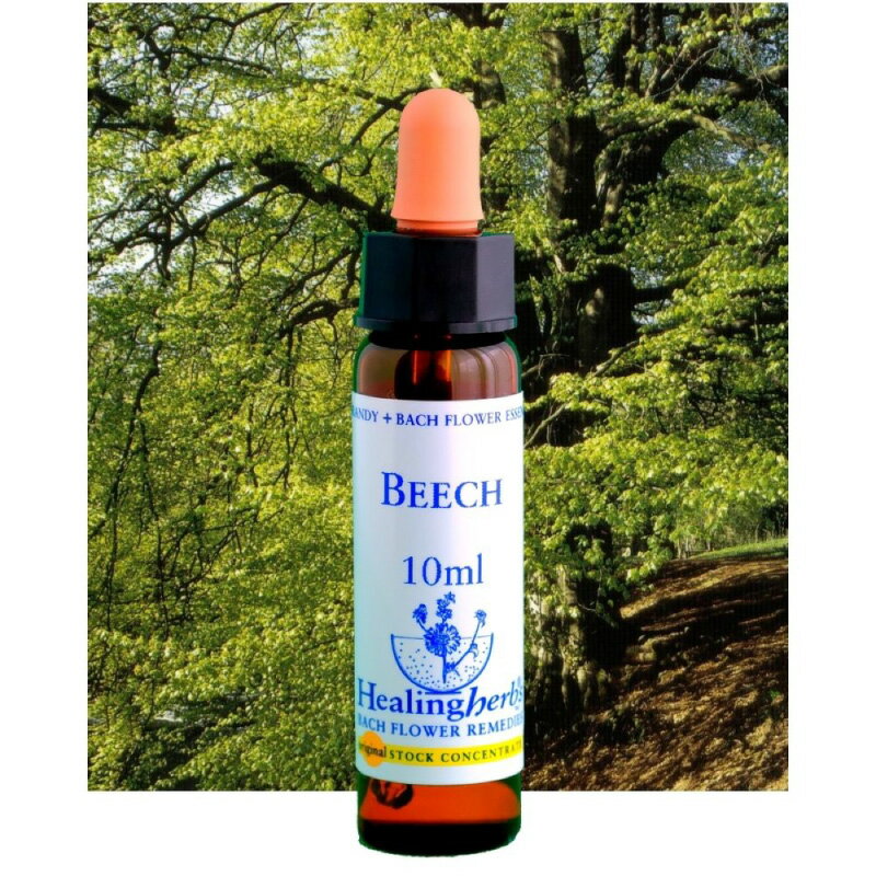 ヒーリングハーブス フラワーエッセンス 37 ビーチ【カリス成城】