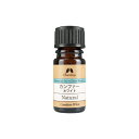 カンファー ホワイト オイル 5ml [エッセンシャルオイル] EO 【公式】カリス成城 アロマ 専門店 精油 アロマオイル