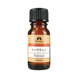 キャラウェイシード/ヒメウイキョウ オイル 10ml [エッセンシャルオイル] EO 【公式】カリス成城 アロマ 専門店 精油 アロマオイル