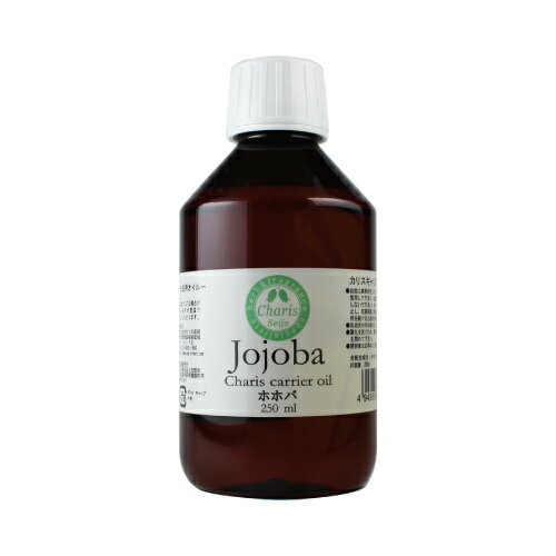 ڥȥ꡼ǥݥ10ܡۥꥢ ۥۥ 250ml(̤) ޥå ȥ꡼ȥ 경 ڸۥꥹ ...