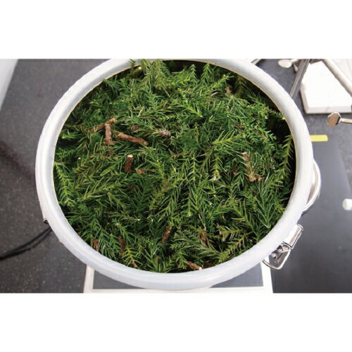 ������̵���ۥϡ��֥�����᡼���� �ʥ��å��󥷥�륪������д�� �顼�������סå᡼����ľ���� �ϡ��־�α�� �ե�����륦�������� �ꥫ���ޡڸ����ۥ��ꥹ����