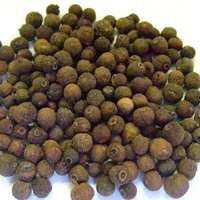 オールスパイス ホール WH 500g [ ドライ ハーブ] 乾燥【公式】カリス成城 スパイス ハーブ専門店 ハーブ 専門店