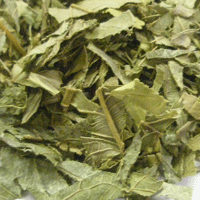 グァバ葉カット大20g原産国：中国英名：Guava Leaf, Cut学名：Psidium guajava科目：フトモモ科部位：葉別名：バンジロウグァバ葉ポリフェノールがバランスを整えてくれます。また、季節の変わり目にもおすすめです。ハーブティーの基本の淹れ方ティースプーン1〜2杯(約2グラム)のドライハーブをポットに入れ、150cc〜200cc程度の熱湯を注ぎ、フタをして3〜5分間蒸らします。※実や根など硬いものは、軽くつぶすとより香りが立ちます。保存方法直射日光・高温多湿を避け、冷暗所にて密閉保存下さい。開封後はどうぞお早めにご使用下さい。