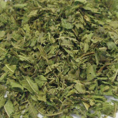 レモンバーベナ カット CUT 500g【送料無料】 [ ドライ ハーブ] 乾燥【公式】カリス成城 コウスイボク ハーブ専門店 ハーブティ ハーブ 専門店のサムネイル