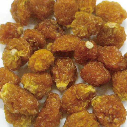 ゴールデンベリー/インカベリーホールWHオーガニック500g ドライハーブ カリス成城
