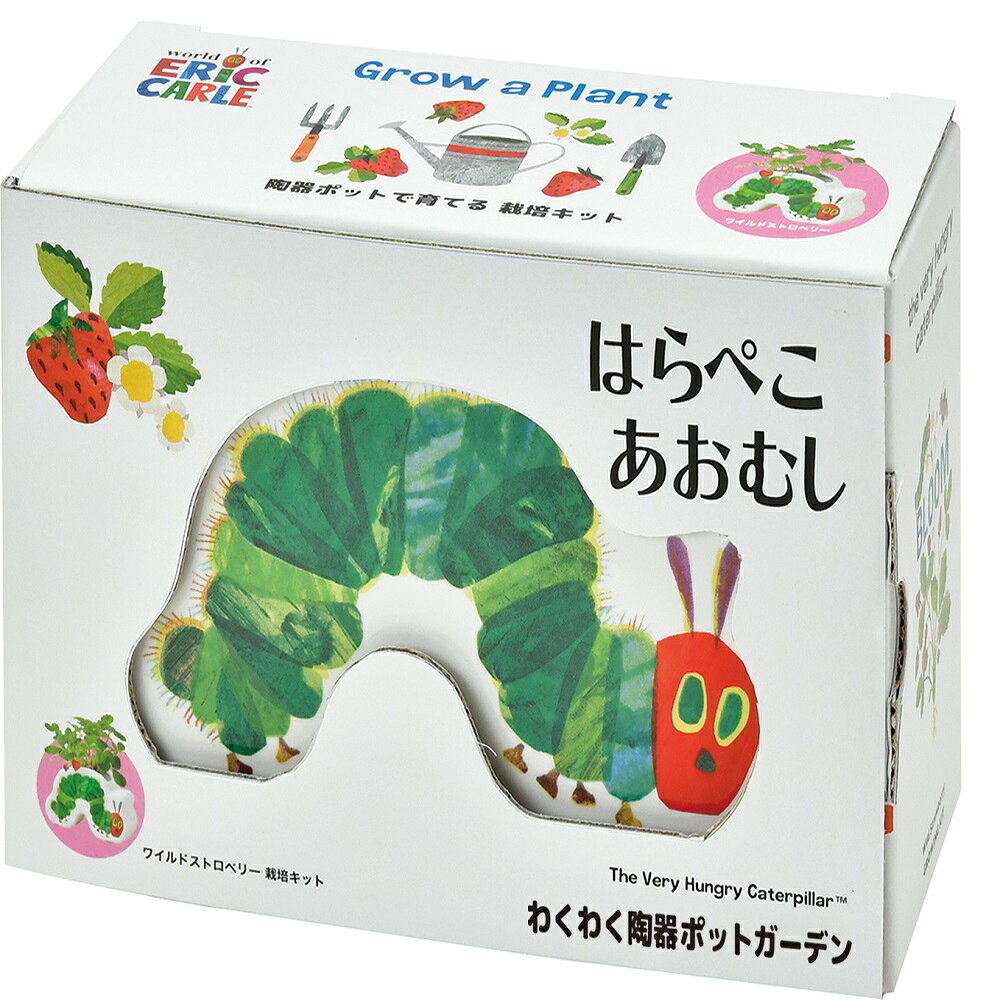 はらぺこあおむし わくわく陶器ポットガーデン ワイルドストロベリー 陶器製のシル...