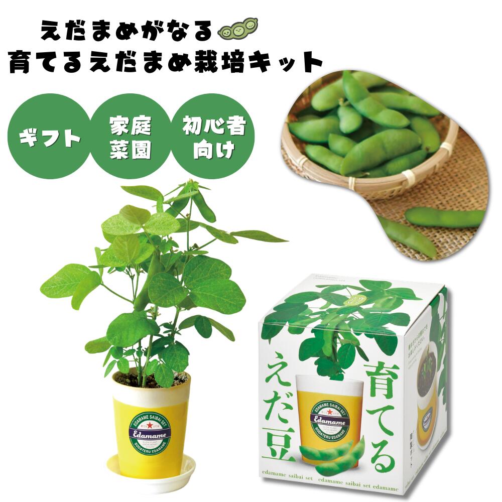 育てる枝豆 自宅で育てられる「えだ豆」の栽培キット 発売から約15年のロングセラー 育てる体験と、育てたものを食べる喜びの両方が楽しめます 栽培ポットは美濃焼の器 サイズW115×D115×H123ミリ 収穫時期約3ヶ月 聖新陶芸 ギフト 父の日 誕生日 グリーン