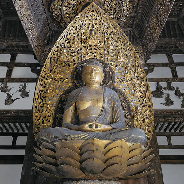 ����õˬ DVD��10�����桼���������