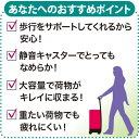 オリジナル スワニーウォーキングカート ココチモ 新聞広告でご案内 特許取得 ストッパー 5段階ハンドル はっ水加工 送料無料 3