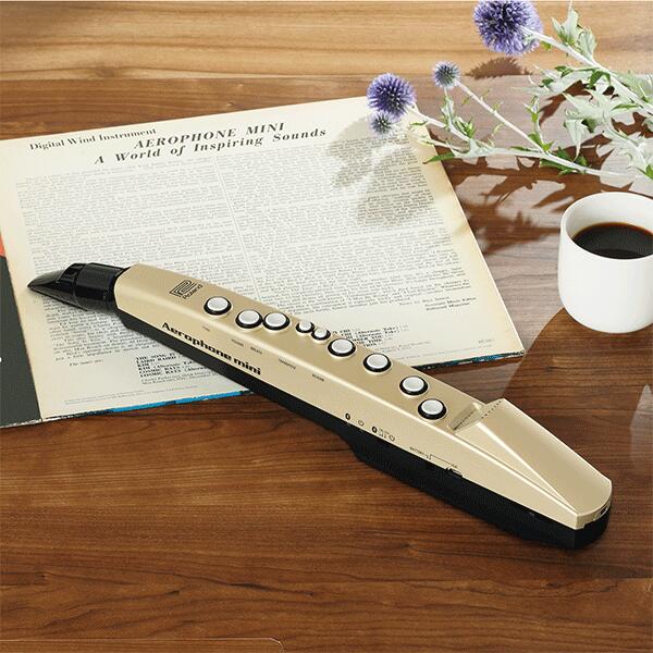 エアロフォン・ミニ 電子楽器 サックス フルート クラリネット トランペット バイオリン シンセサイザー ローランド 送料無料 ユーキャン通販 3