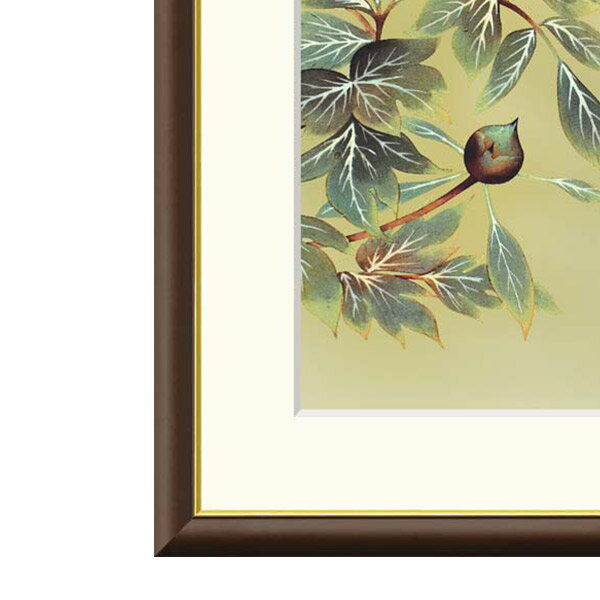 速水御舟 「牡丹睡猫」 F6号／F4号 高精彩工芸画 複製画 額付き 額絵 額装画 額入りの絵 日本画 名画レプリカ