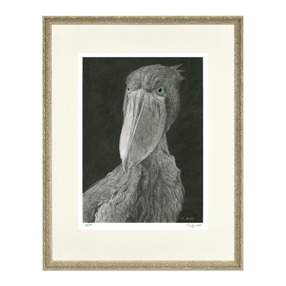 樂天商城 - 動物画　足代トシ 「ハシビロコウ」 動物画　鉛筆画　複製　ジークレー版画　ジクレー　額入り　動かない鳥　ペリカン　人気アーチスト　作品　鳥の絵　写実　リアリズム　大衣 【C7302】