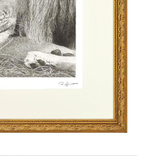 ưʪ�衡­��ȥ� ��LOVE�� ưʪ�衡��ɮ�衡ʣ�����������졼�ǲ衡�����졼�������ꡡ�饤�������ء����Х�ʡ��͵����������ȡ����ʡ��̼¡��ꥢ�ꥺ�ࡡ�ͤ��� ��C7307��