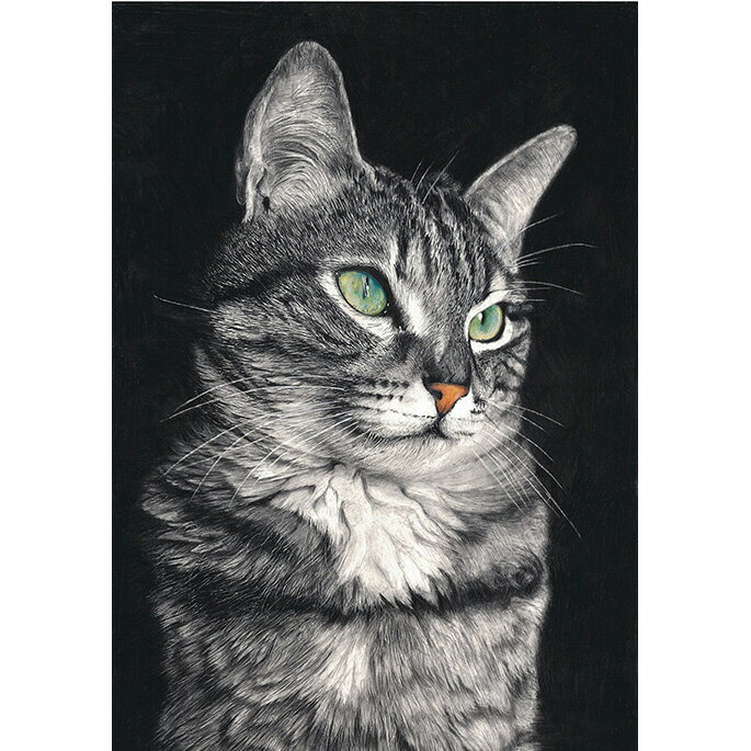 動物画　足代トシ 「night cat」 動物画　鉛筆画　複製　ジークレー版画　ジクレー...