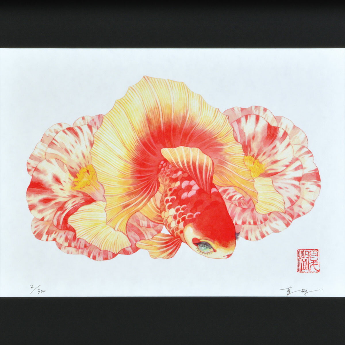 ★ 岩本夏樹 「椿に土佐錦」 ジクレー版画 額付き 額装画 複製画 グラフィックアート ジークレー 金魚 観賞魚 尾びれ 美しい 幸運 繁栄 開運 ギフトにも 【c4504】太子 2