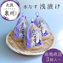 水ナス 浅漬け 泉州 大阪 朝採れ 農家直送 漬物 浅漬け ぬか漬け 水なす 水茄子 産地直送 夏野菜 生野菜 自宅用 家庭用 ギフト お中元 サラダ 旬野菜 クール便 通販 3個 6個 8個