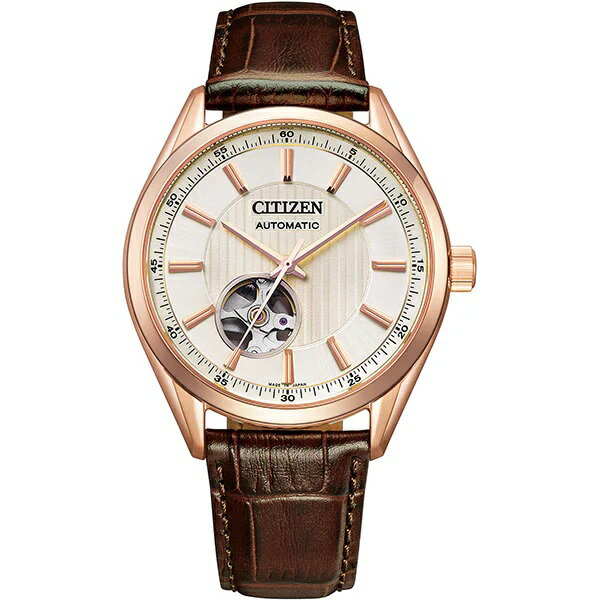 CITIZEN COLLECTION V`Y RNV NH9112-19A JjJ Yrv Ki