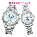 CITIZEN EXCEED シチズン エクシード AT9130-69W EE1010-62W 45周年記念 ペアモデル　エコ・ドライブ電波腕時計 国内正規品