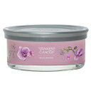 ヤンキーキャンドル YCシグネチャータンブラー5ウィック（5本芯）388ワイルドオーキッドYANKEE CANDLE/ヤンキーキャンドルYK011-05-388アロマキャンドル ルームフレグランス マンダリン ベルガモット ジャスミン ムスク サンダルウッド ホワイトアンバー プレゼント