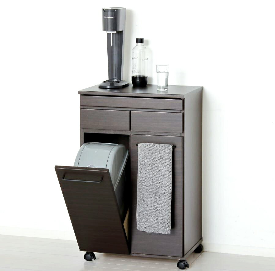 スライド棚付きダストカウンター (ブラウン) キャスター付分別19L×2一部組立 23733 クロシオスライド棚..