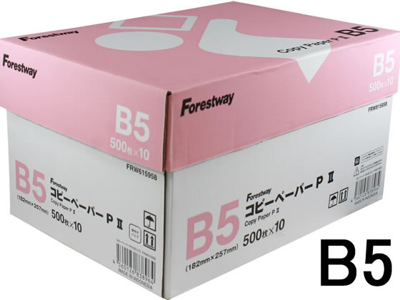 コピー用紙PII B5 5000枚 (500枚×10冊) Fo