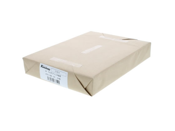 【レビュー投稿で100円OFFクーポン】プリンタ帳票マルチタイプA4 カラー 3面 6穴 500枚 Forestway 納品..