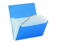 【レビュー投稿で100円OFFクーポン】キングジム ドキュメントファイル(エコノミータイプ) A4 13ポケッ..