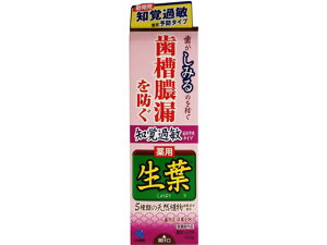 【マラソン限定クーポン★11日9:59迄ポイント2倍】【お取り寄せ】小林製薬 生葉 知覚過敏症状予防タイプ 100g はみがき オーラルケア