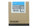 Gv\ ICC54M VAM Gv\ EPSON VA CNWFbgJ[gbW CNJ[gbW gi[