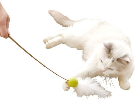 【お取り寄せ】アドメイト 猫オモチャHappinessCatウールボールじゃらしフワフワスティック 運動器具 おもちゃ 猫用 キャット ペット デイリー 3