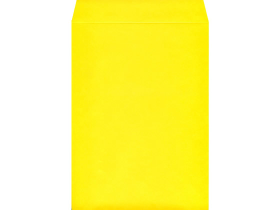 �ڳ�ŷ�����ѡ�SALE������ݥ����2�ܡ�2,000�ߥ����ݥ�۳�2���顼����ե����� �������� 100�� K2S-423 A4���� �ơ���̵�� ͹���ֹ��Ȥʤ�...