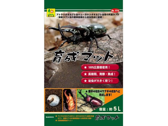 【商品説明】外産カブト虫（アトラス・コーカサス・ヘラクレス）から国産カブト虫の産卵から幼虫・幼虫からサナギ・サナギから成虫への育成、羽化率をUPさせる為、天然広葉樹材に発酵菌を添加し、長時間、発酵熟成させたマットです。【仕様】●容量：約5L●原産国：日本●材質／素材：天然広葉樹材●諸注意：本品は外産、国産カブト虫用飼育マットです。※他の目的及び対応生体以外には使用しないで下さい。※菌糸（カビのような糸状の物）が発生する場合がありますが問題ありませんのでよく揉んでほぐしてからご使用下さい。※薬剤等使用していないのでマットに虫がつく場合があります。※その場合マットを広げ天日干しにするか冷凍駆除させてからご使用下さい。※幼児の手の届かない、また直射日光の当たらない涼しいところに保管下さい。※本品が再発酵してマットに熱を持ち発酵臭がする場合はマットを別な場所で広げ冷ましてからご使用下さい。【備考】※メーカーの都合により、パッケージ・仕様等は予告なく変更になる場合がございます。【検索用キーワード】三晃商会　さんこうしょうかい　育成マット5L　育成マット　5L　ペット　シーズン商品　ペットグッズ　昆虫　ペット用品　生き物　昆虫用品　昆虫マット　成虫用マット　昆虫　カブトムシ　16　日本　国産　RPUP_02　RK1167こだわり素材のカブトムシ用マット