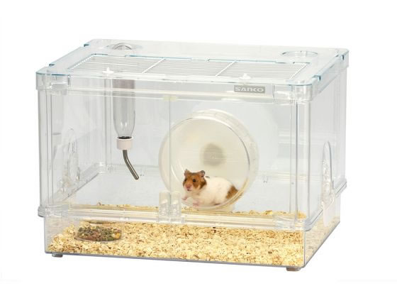 �ڥޥ饽������2,000�ߥ����ݥ���ݥ����2�ܡۡڤ����󤻡ۻ������� ���㥤�ˡ�45 C131 ������ ����꡼ ��ưʪ �ڥå� ������ �ϥॹ����