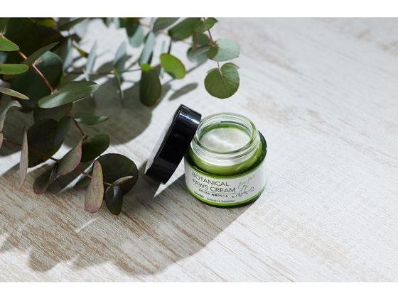 �ڥ�ӥ塼��Ƥ�100��OFF�����ݥ�ۡڤ����󤻡ۥܥ�ӥ��륳�� �ܥ�� �ܥ��˥��� ���奱�����꡼�� 30g ���̥��å� �ڥå� ������ ���襰�å� �ڥåȥϥ���