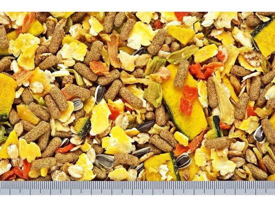 【マラソン限定★ポイント2倍】【お取り寄せ】キ...の紹介画像2