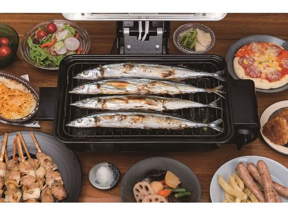 �ڥޥ饽�������ݥ����2�ܡۡڤ����󤻡ۥ��ӥƥ�å��� �ե��å������������ AFR-1105S �ŵ����������� �ŵ������ Ĵ���� ���å������ ���å������ Ĵ������