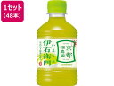 サントリー 伊右衛門 280ml 48本 ペットボトル 小容量 お茶 缶飲料 ボトル飲料