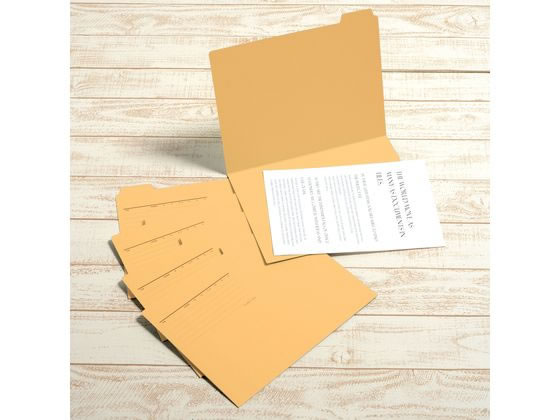 【レビュー投稿で100円OFFクーポン】プラス 5カットフォルダー A4 イエロー 5枚(1〜5山×1セット) 1 5カット カットフォルダー 個別フォルダー ファイル