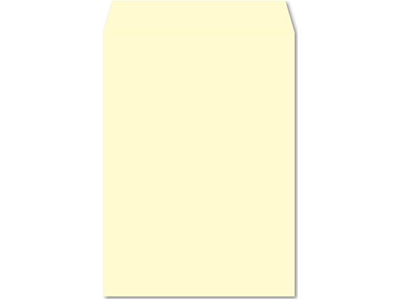 �ڳ�ŷ�����ѡ�SALE������ݥ����2�ܡ�2,000�ߥ����ݥ�ۥơ����դ����顼���� ��2 �ե�å���ȡ��� ���꡼�� 100�� K2S541F A4���� ͹��...