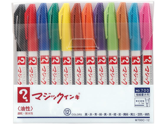 【レビュー投稿で100円OFFクーポン】寺西 マジックインキNO.700極細12色セット M700C-12 多色セット マジックインキ 寺西化学 油性ペン..